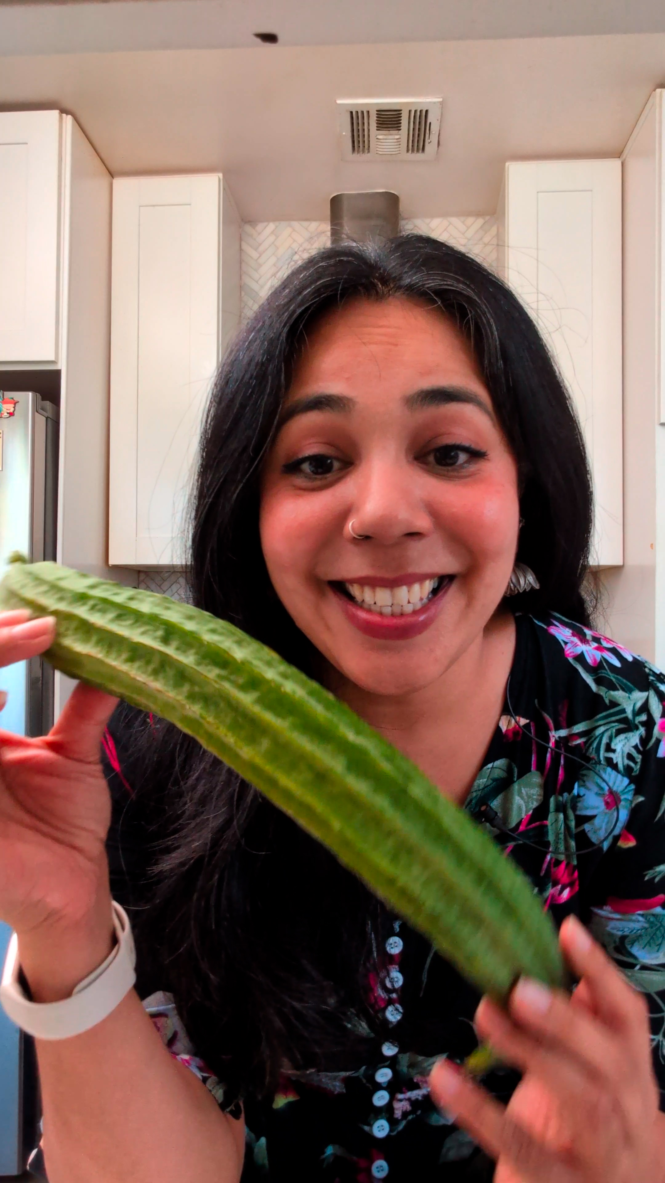 Turiya (Ridge Gourd) Seeds
